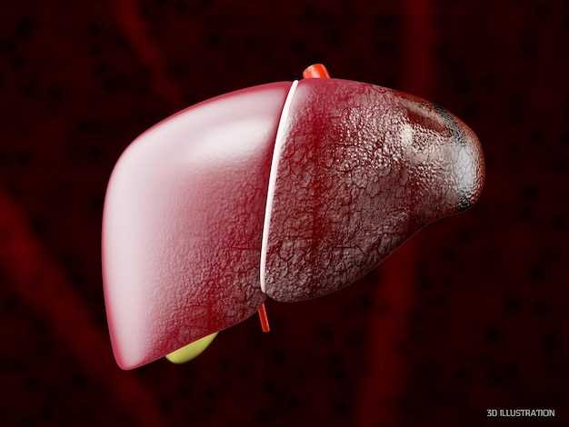 The Link Between Fatty Liver and Rosuvastatin